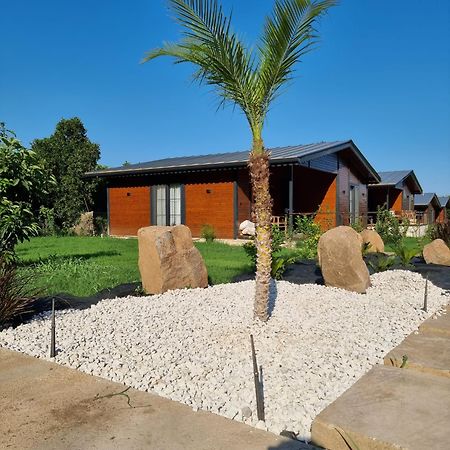 Cirali Simge Holiday Houses Extérieur photo