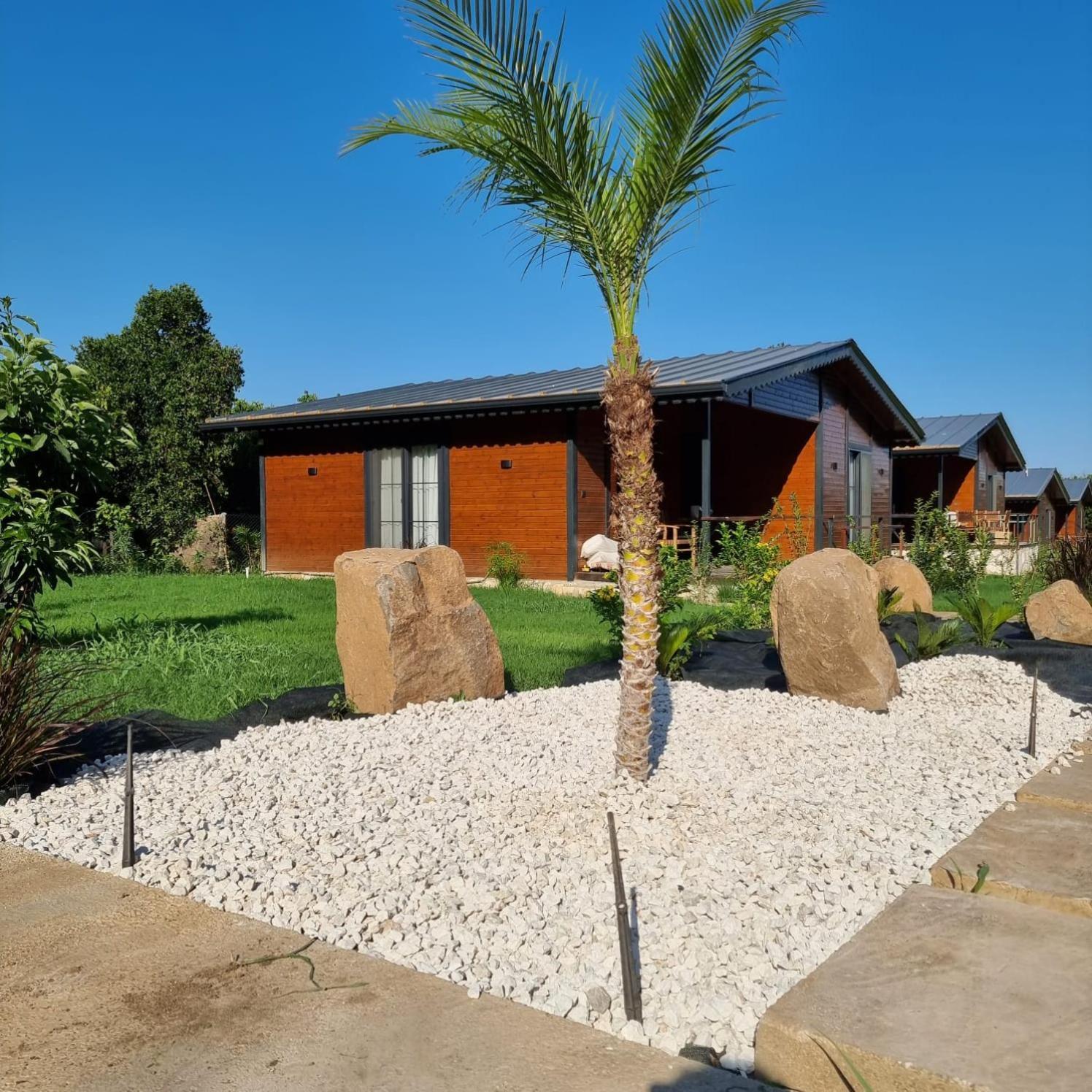 Cirali Simge Holiday Houses Extérieur photo