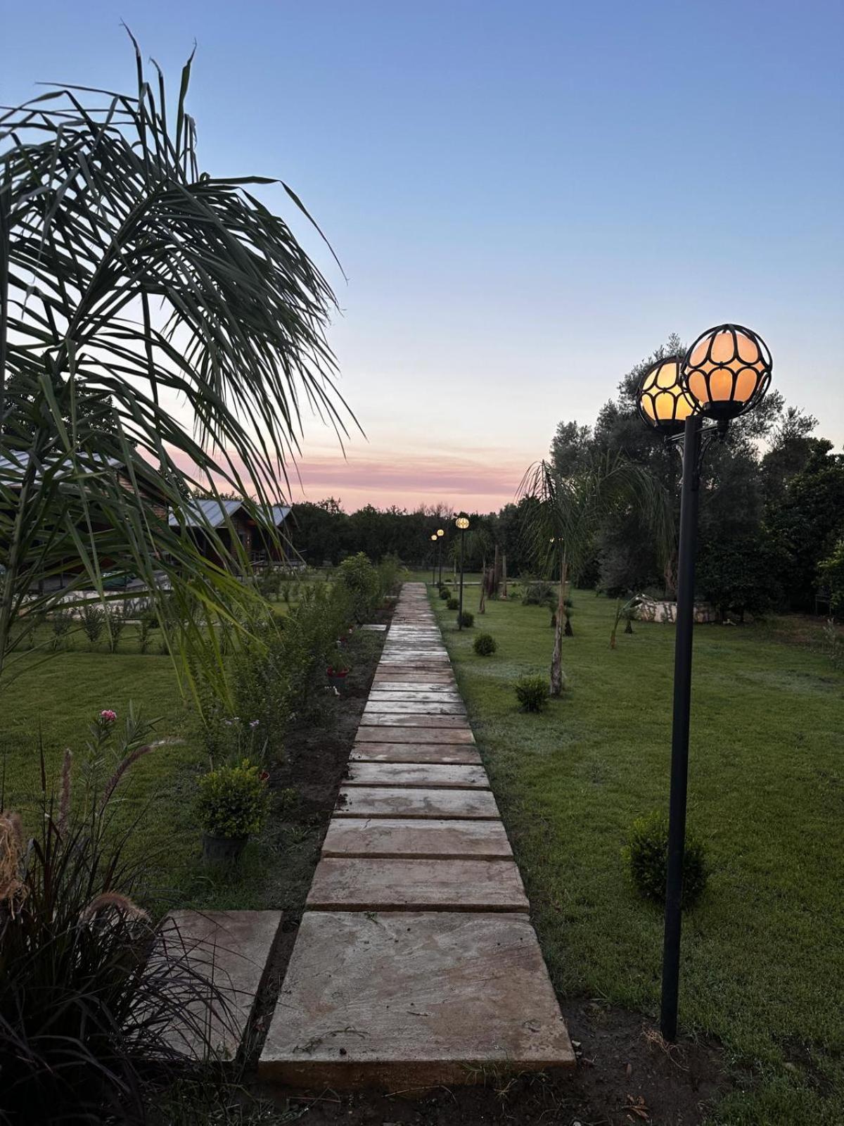 Cirali Simge Holiday Houses Extérieur photo