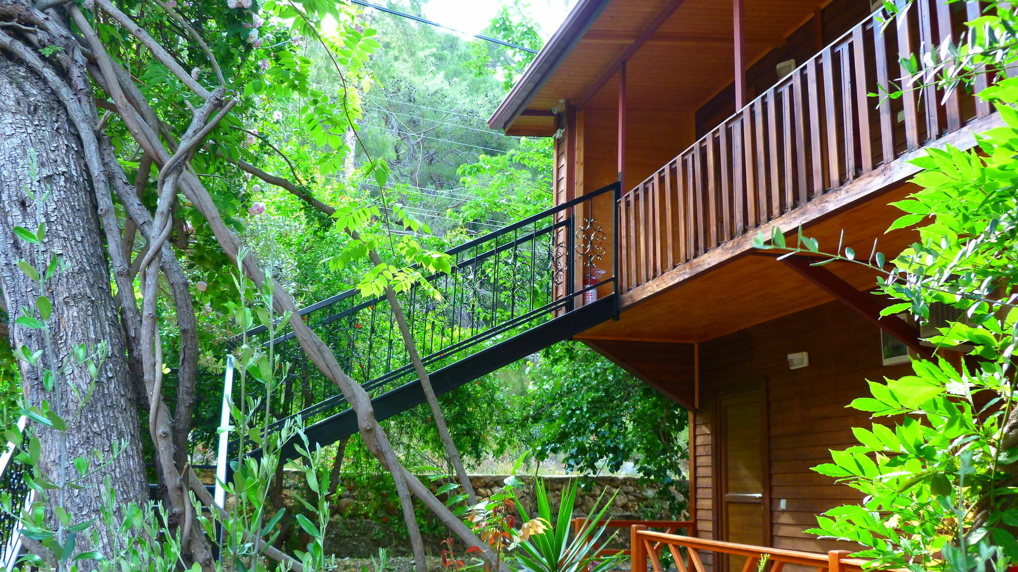 Cirali Simge Holiday Houses Extérieur photo