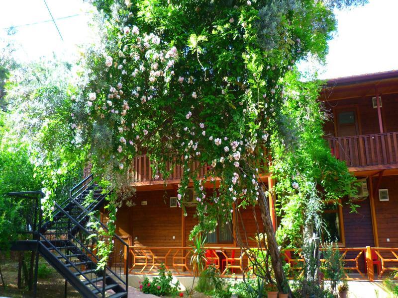 Cirali Simge Holiday Houses Extérieur photo