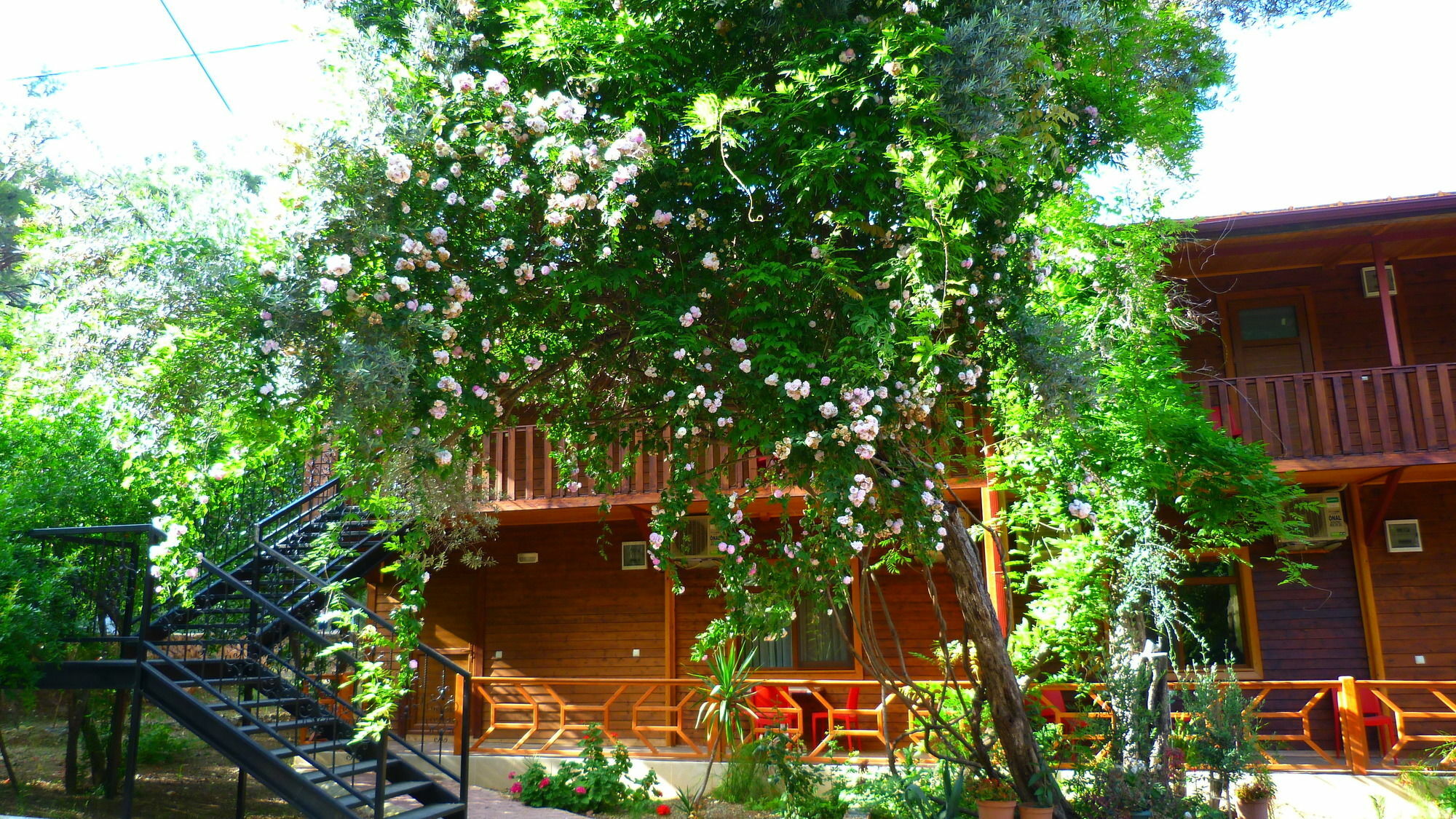 Cirali Simge Holiday Houses Extérieur photo